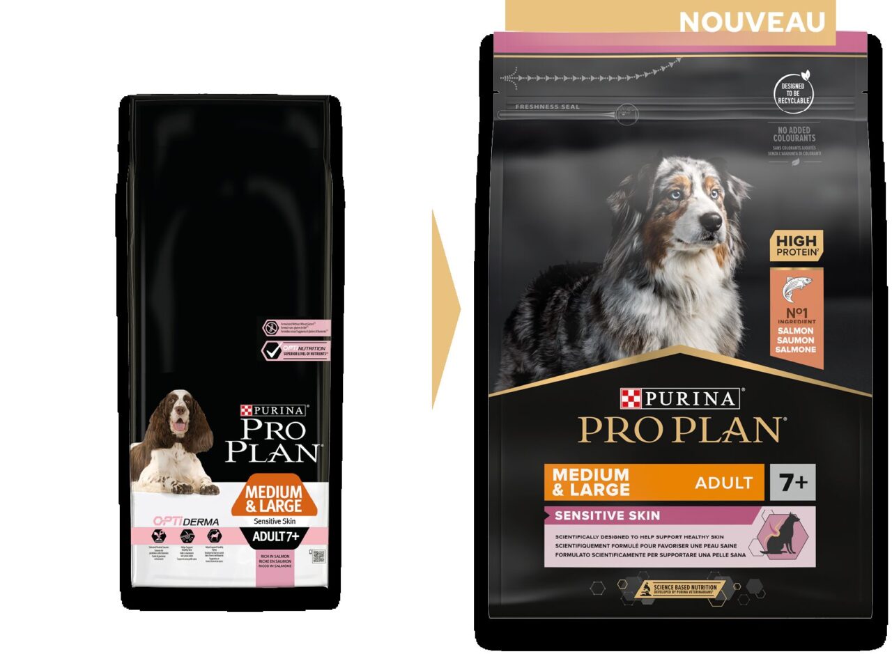 Pourquoi choisir Pro Plan Saumon Medium pour votre chien?