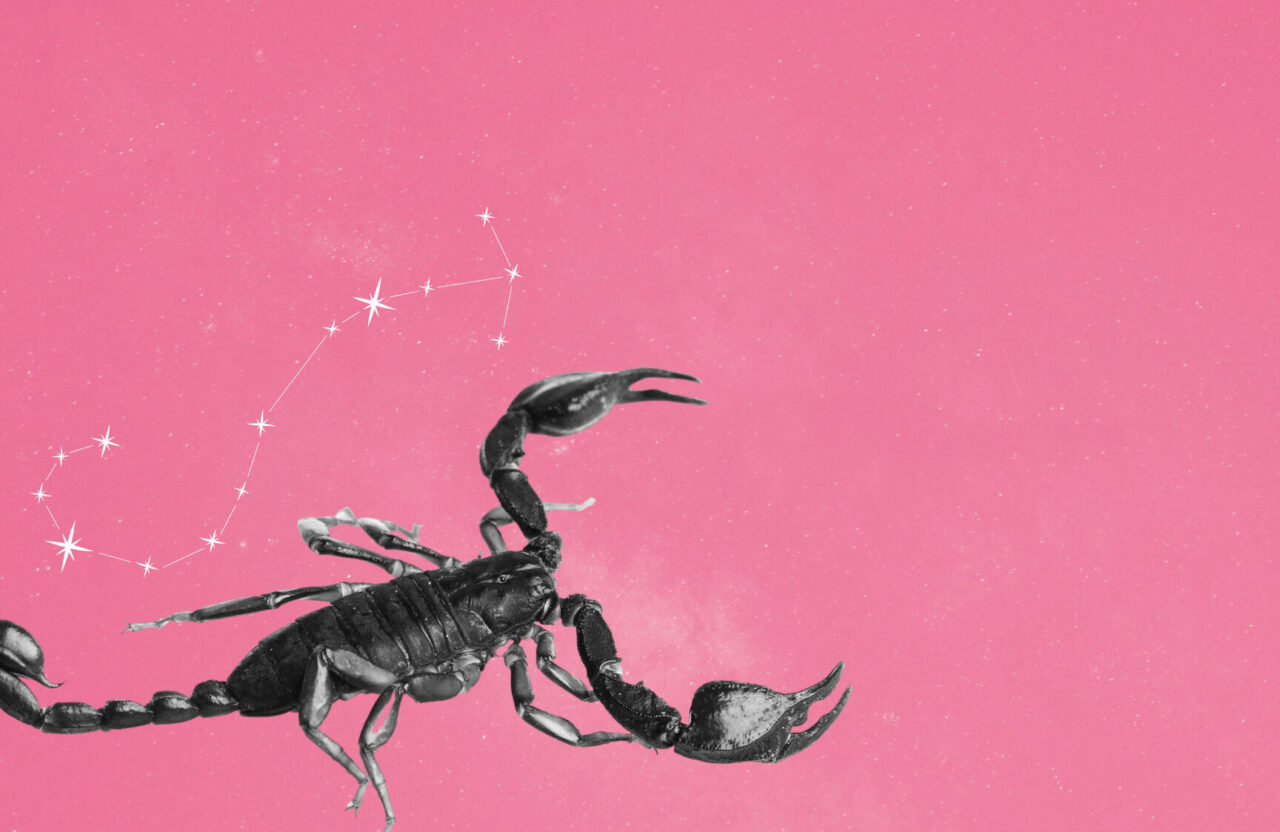 Pourquoi les scorpions sont-ils si détestés